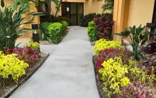 Pebble Path Pebble Path