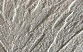 Ocean Waves