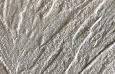 Ocean Waves Ocean Waves