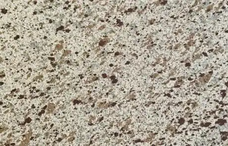 Sample Board Bone Sample Board Bone